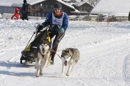 Lenk 2012 SM
